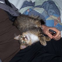 zoe024.JPG