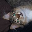 zoe027.JPG