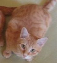 anatole1.JPG