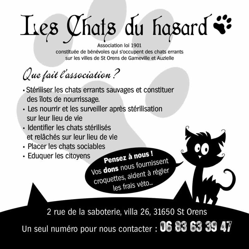 flyer_chatsAPL.jpg