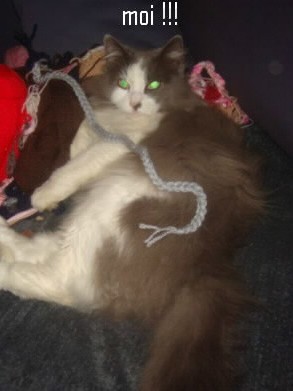 5_2011-12-11.JPG
