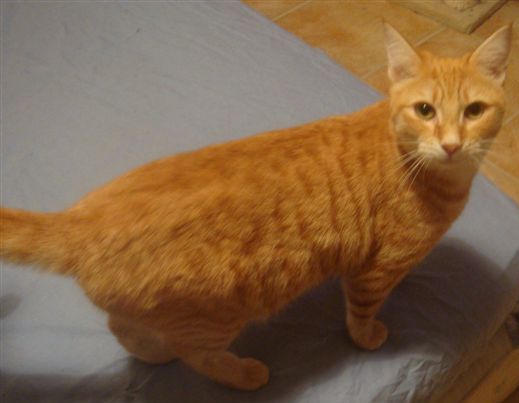 anatole10.JPG