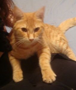 anatole6.JPG