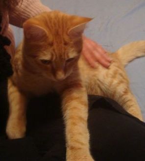 anatole7.JPG