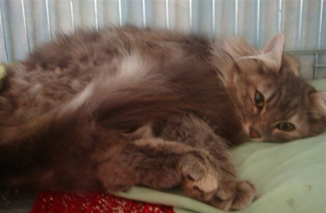 DSC00002.JPG