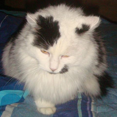 DSC00212.JPG