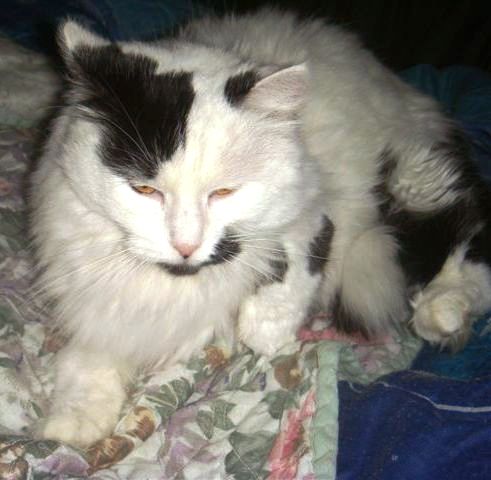 DSC00333.JPG