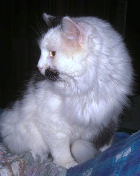 DSC00334.JPG