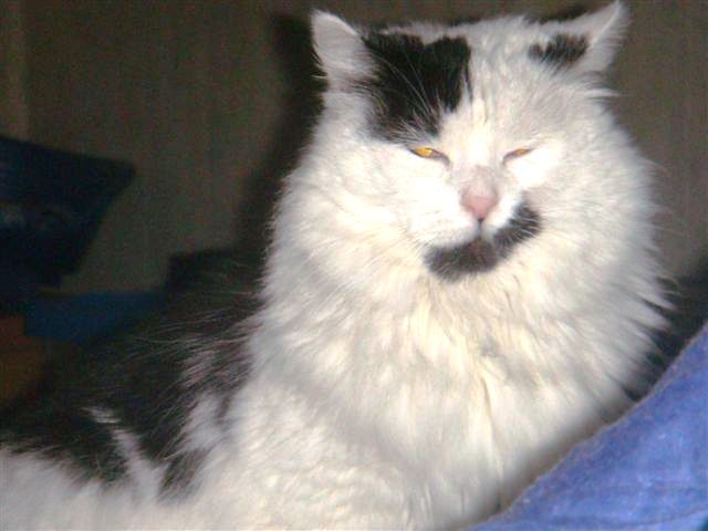 DSC00346.JPG