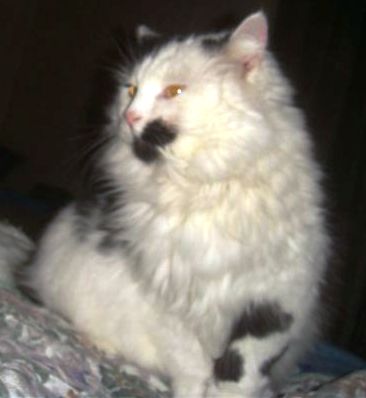 DSC00361.JPG