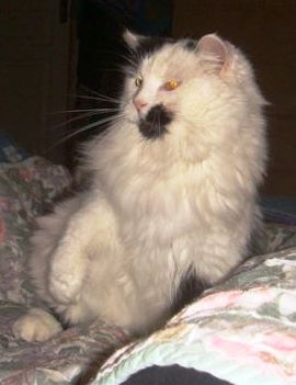 DSC00528.JPG