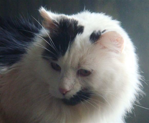 DSC00551.JPG