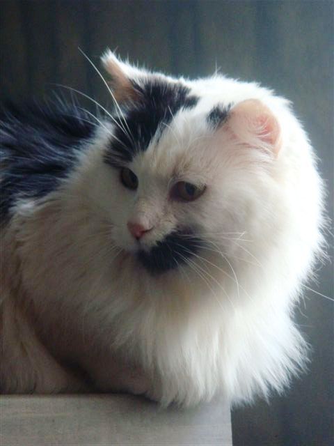 DSC00553.JPG