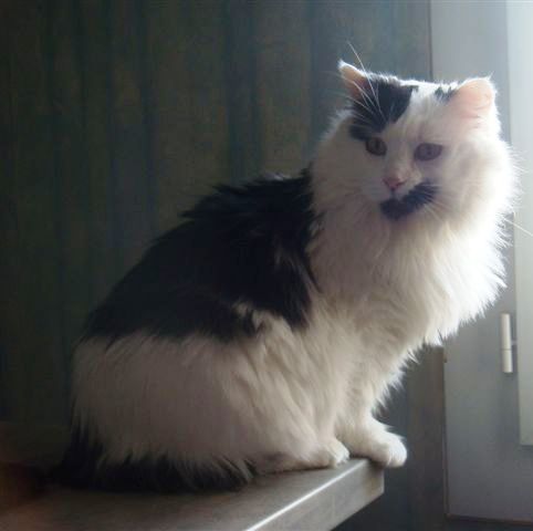 DSC00571.JPG