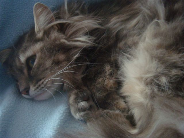 DSC00937.JPG