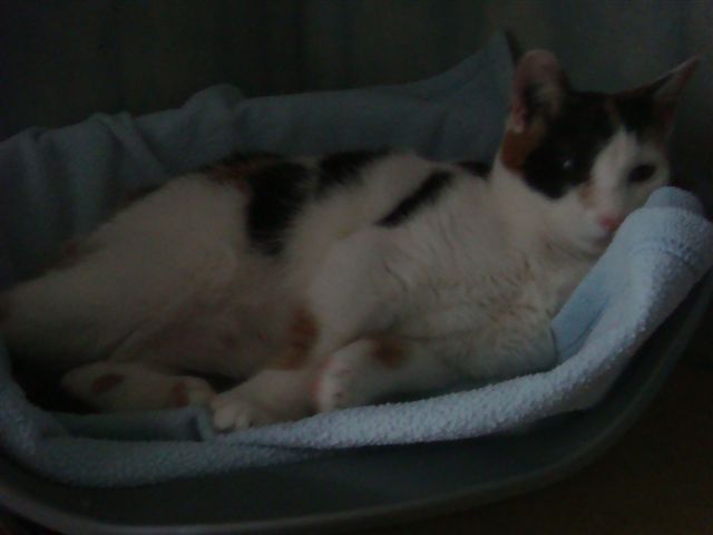 DSC01732.JPG