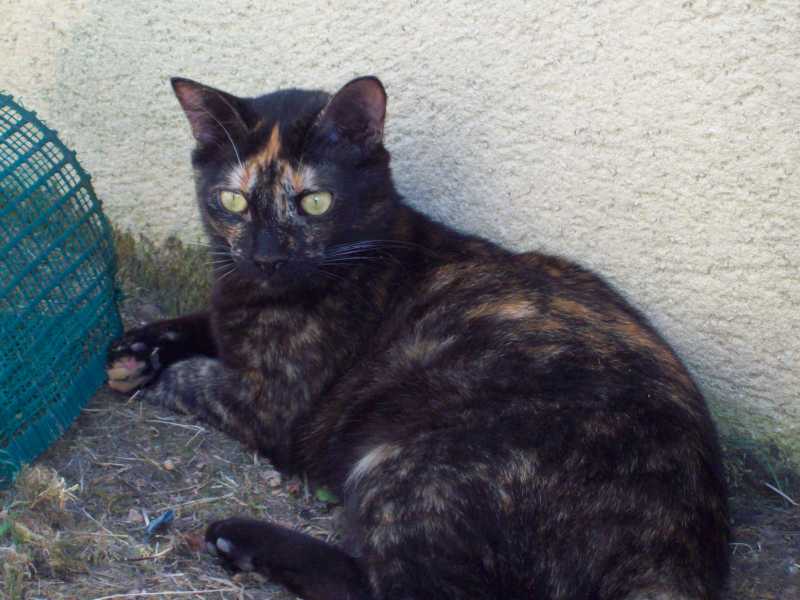 yeliz25-07.jpg