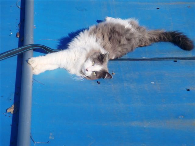 DSC02730.JPG
