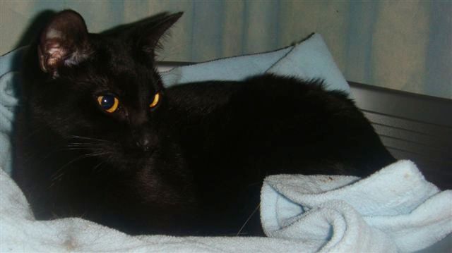 DSC03307.JPG