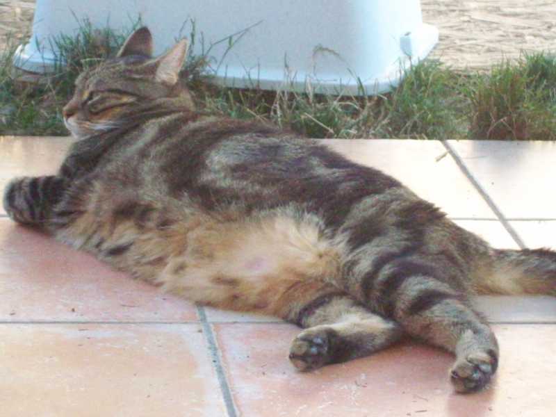 roxane30-07-12.JPG