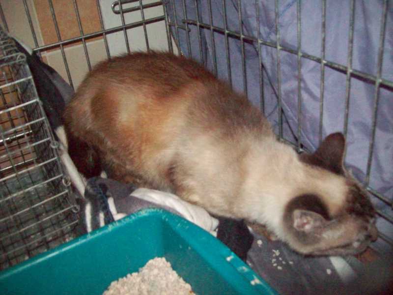 Darcy29-09-12.JPG