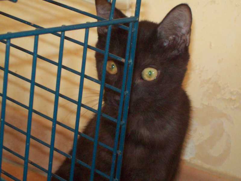 kawa4-10-123.JPG