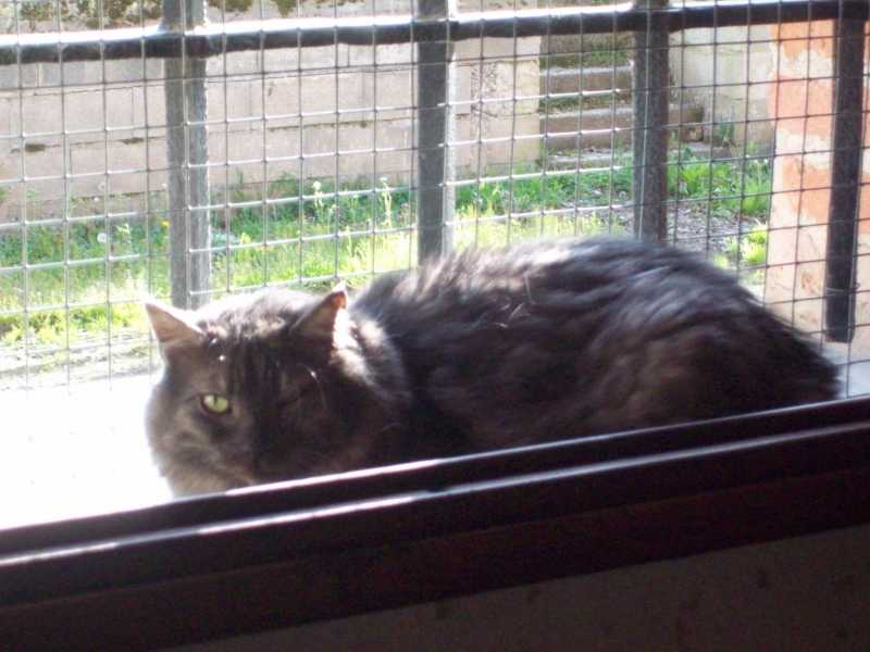 solimanavril2013135.jpg