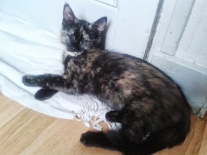 NYMERIA7.jpg
