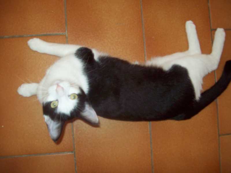 olive12janvier2014018.jpg