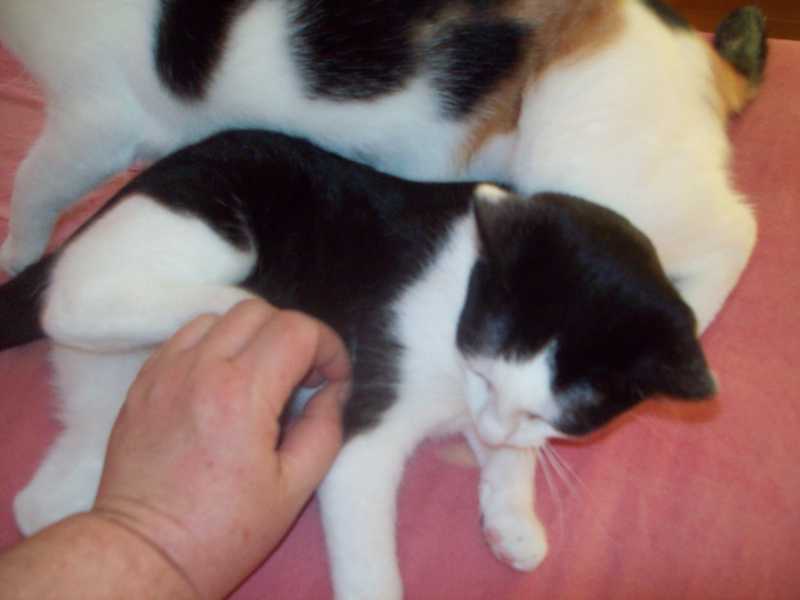 olive12janvier2014042.jpg