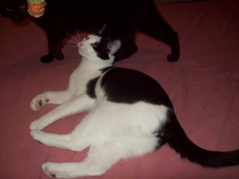 olive20janvier2014008.jpg