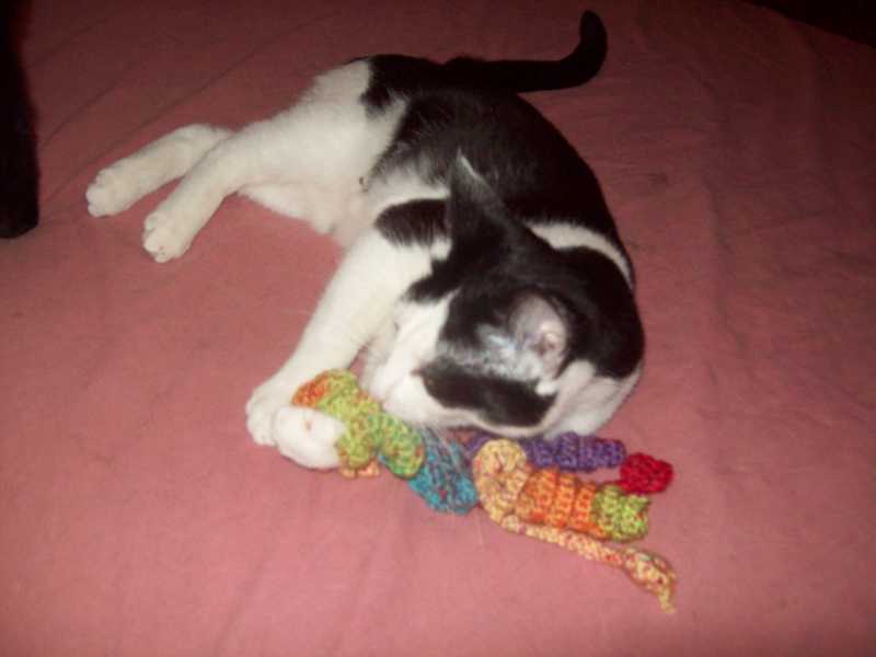 olive20janvier2014011.jpg