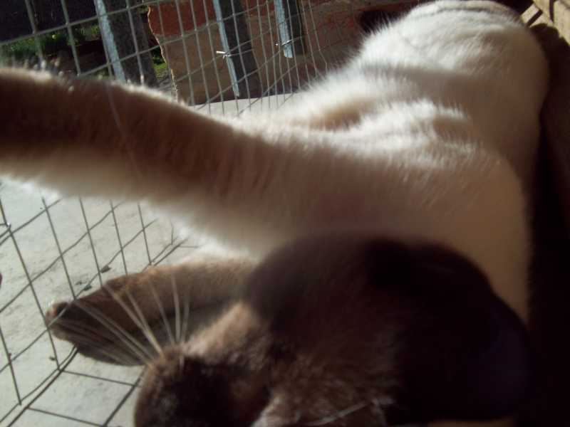 chlo23fevrier2014028.jpg