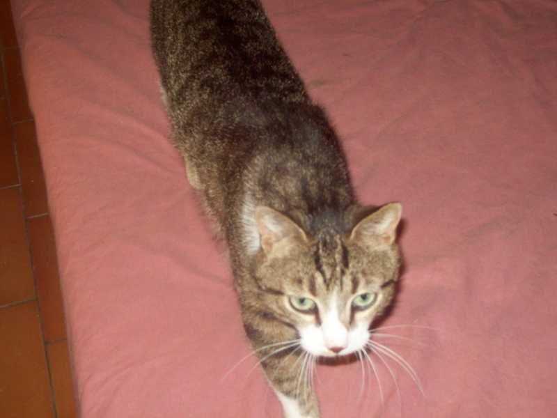 guss16mai2014037.jpg