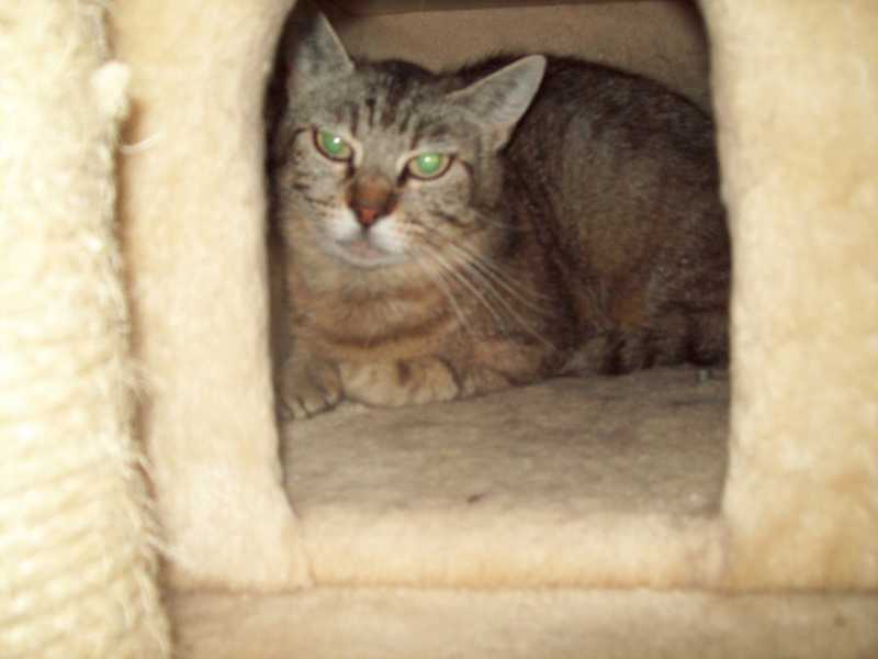 poussy16mai2014092.jpg