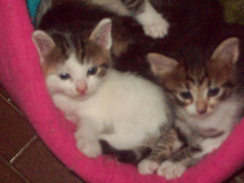 miaetsesbbs6octobre2014075.jpg