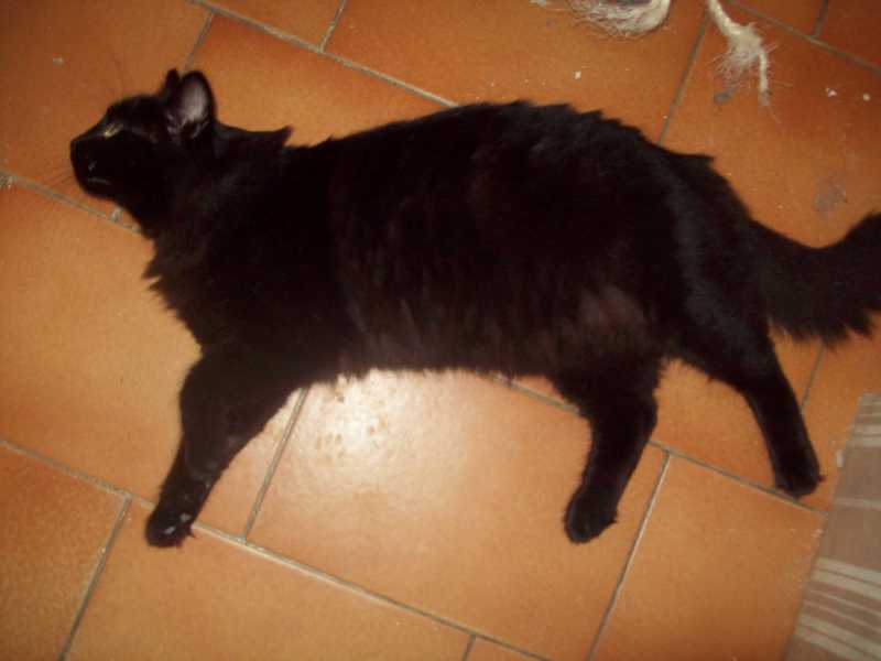 diego21novembre2014019.jpg