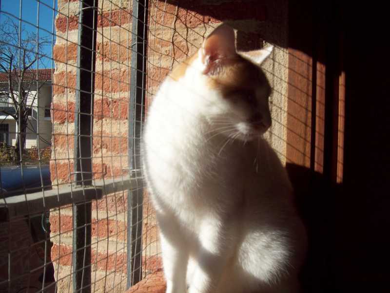 tom21novembre2014033.jpg