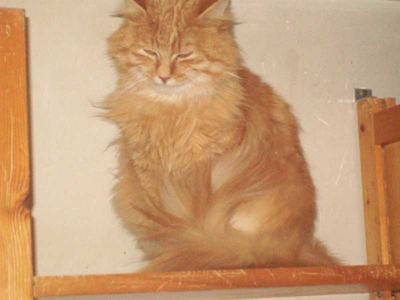 leo18mars2015029.jpg