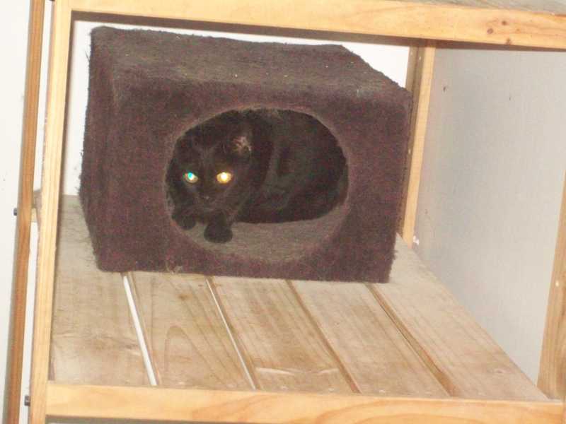 nala4oct2015189.jpg
