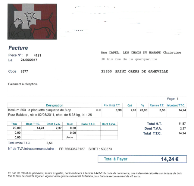 facture18.PNG